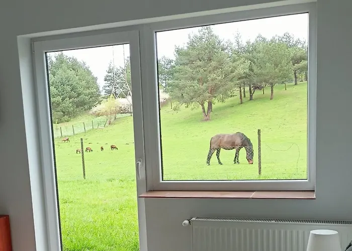 酒店 Goscinne K.gdanska Trabki Male